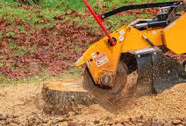 Lawn Maintenance Plans in Lake Mohegan, NY
